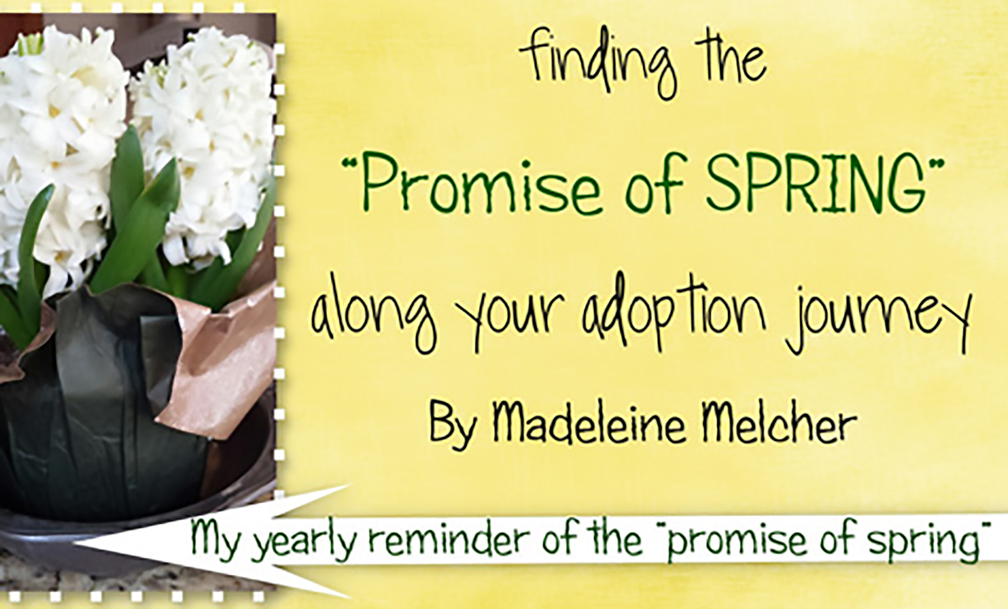 Spring Promise Adoption Journey